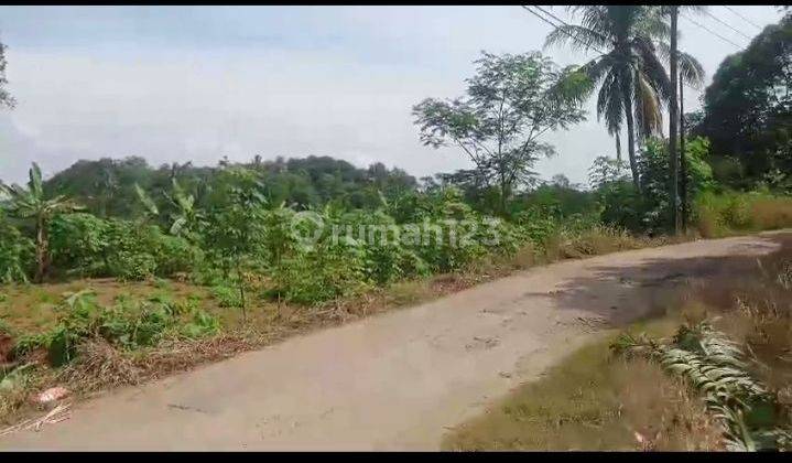 Tanah Untuk Usaha Ternak Dan Juga Berkebun 1