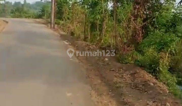 tanah murah untuk usaha ternak dan juga berkebun 1