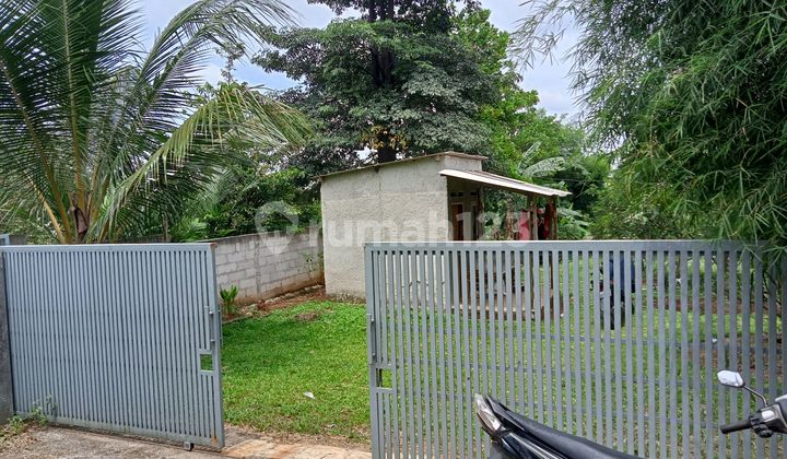 Kebun Alpokat Terrawat Kebun Alpokat Terrawat