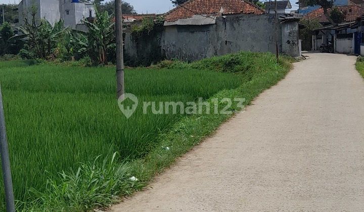 Dijual Tanah Sawah Pinggir Jalan Cikuya Lagadar Kabupaten Bandung