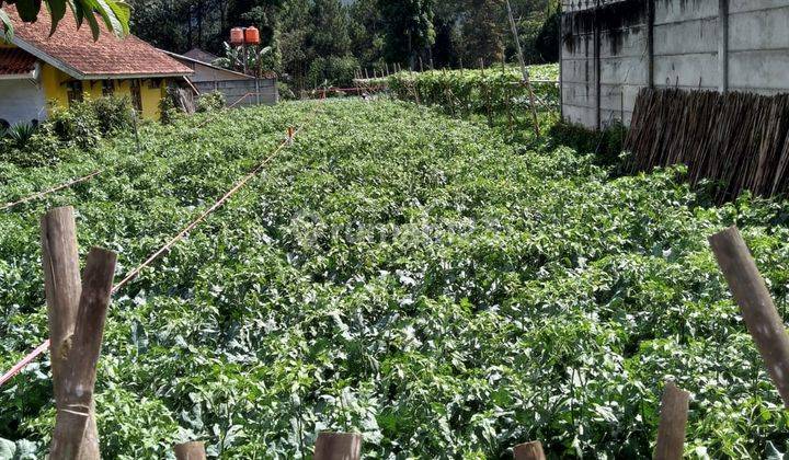 Tanah Murah Masuk Mobil Daerah Cibodas Maribaya Lembang 1