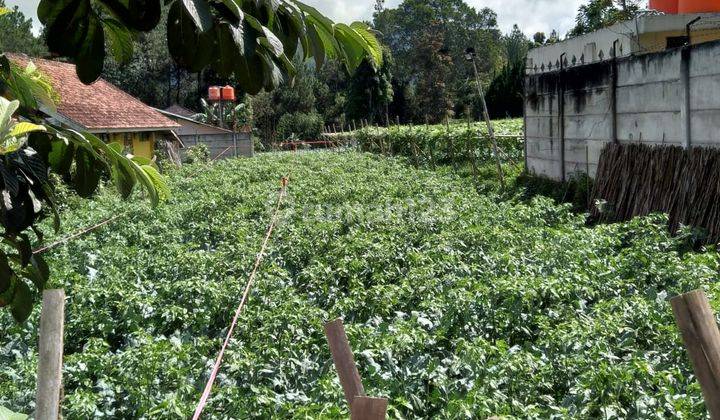 Tanah Murah Masuk Mobil Daerah Cibodas Maribaya Lembang 2