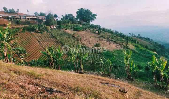  Tanah Super Murah View Bandung Cocok Untuk Cafe Villa di Cartil Padasuka Bandung  1