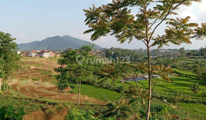 Villa Cantik Full Furnished Dari Kayu Jati di Tanjung Sari Kabupaten Sumedang 6
