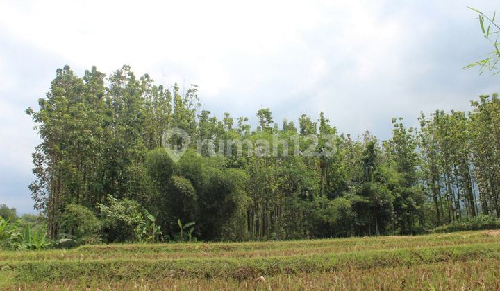 Lahan Luas untuk bangun pabrik atau perumahan subsidi 1