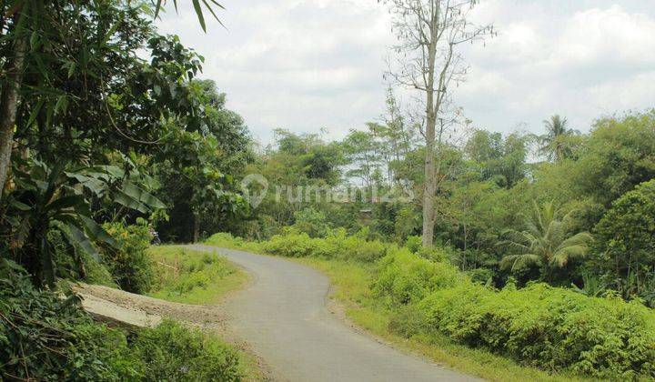 Lahan Luas untuk bangun pabrik atau perumahan subsidi 4
