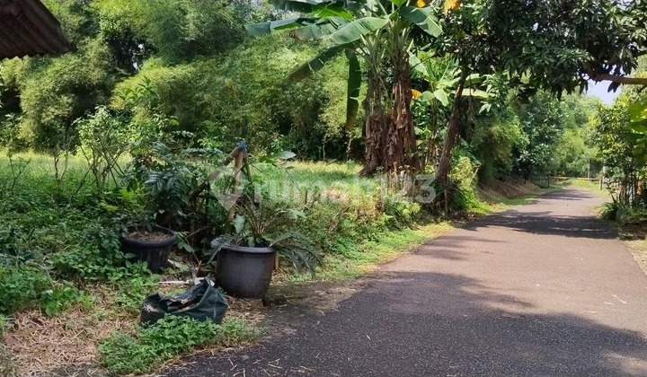 Tamah Murah Bagus Di Bogor