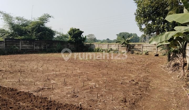 Tanah Mengantong Kotak Bawa Hoki Dekat Pandu Raya