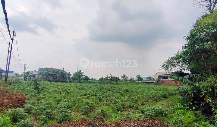 Lahan Komersil Murah di Cinangka Ciampea Bogor 2