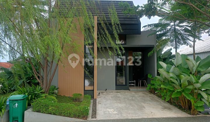 Rumah Resort Mewah Dp 0 Free Biaya2 500Jtn Fasilitas Lengkap Rumah Resort Mewah Dp 0 Free Biaya2 500Jtn Fasilitas Lengkap