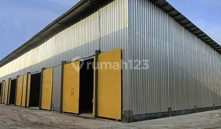 Disewakan Gudang Jelambar Daan Mogot Angke Peternakan Gudang Siap Pakai Bebas Banjir Disewakan Gudang Jelambar Daan Mogot Angke Peternakan Gudang Siap Pakai Bebas Banjir