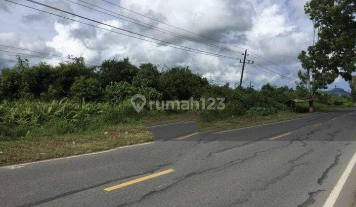 Jual Cepat Tanah Posisi Jalan Raya Di Mempawah Kalimatan Barat 2