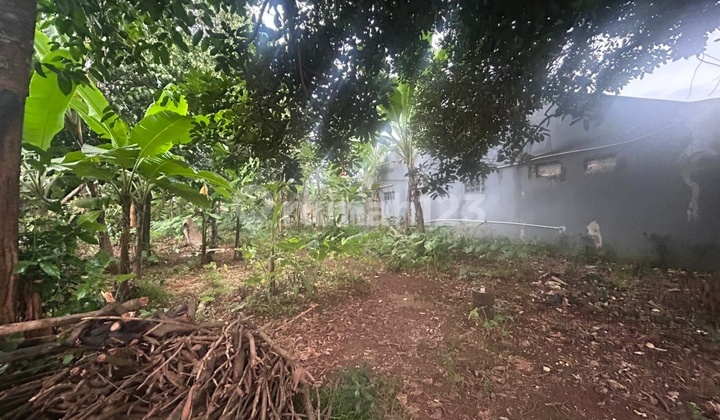 Jual Cepat Tanah Jl Cicayur - Pagedangan Jual Cepat Tanah Jl Cicayur - Pagedangan