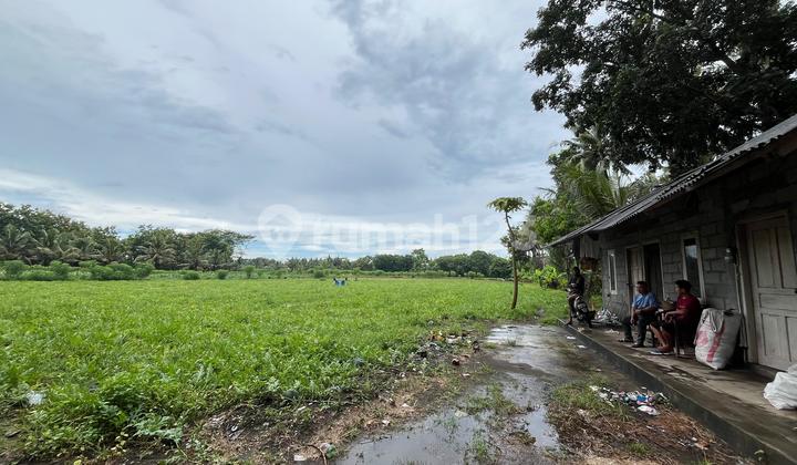 Tanah Pinggir Jl Dendles Dekat Bandara Yia Dijual Cepat Tanah Pinggir Jl Dendles Dekat Bandara Yia Dijual Cepat