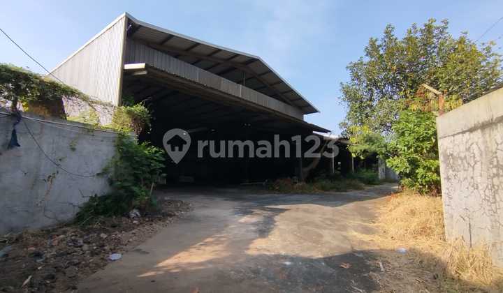 Gudang Sangat Murah Di Cipondoh Kota Tangerang