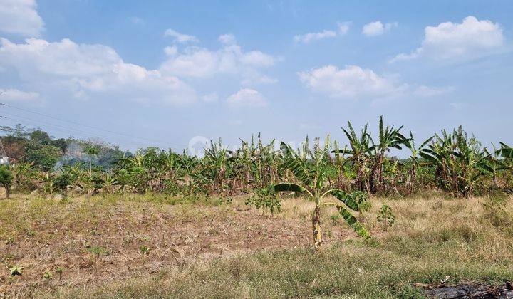 Tanah dipinggir tol semarang batang Dijual cepat 2