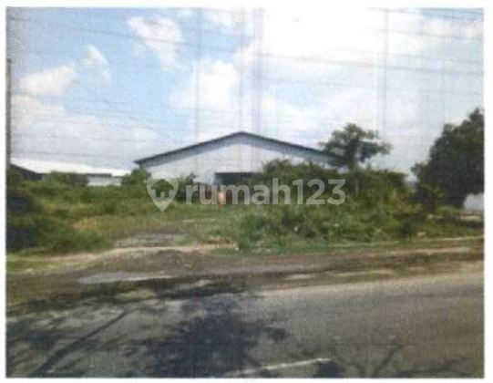 Gudang Strategis Di Kaliwungu Kendal Dijual Cepat Gudang Strategis Di Kaliwungu Kendal Dijual Cepat