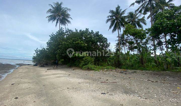 Tanah Bagus Pinggir Pantai DIJUAL Cepat Di Tanjung Lesung 1