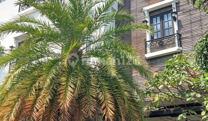 Luxury House for Quick Sale at The Gading Residence Luxury House for Quick Sale at The Gading Residence