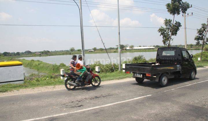 Tanah Plot Industri Dekat Pelabuhan Jiipe Gresik 1