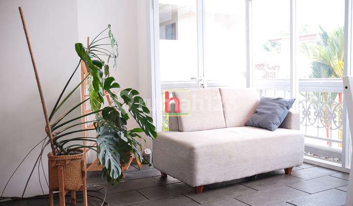 Rumah Bagus Ada Swimming Pool di Jl Kair Ragunan