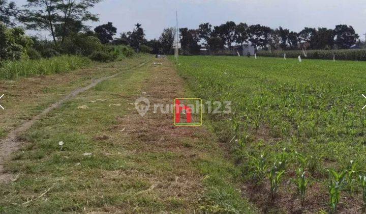 Tanah Luas Jl Serasi Runggun, Sunggal, Deli Serdang, Sum Ut 1