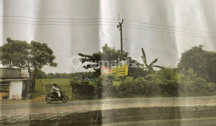 Tanah Desa Kaliasin, Kecamatan Jatisari, Cikampek Tanah Desa Kaliasin, Kecamatan Jatisari, Cikampek