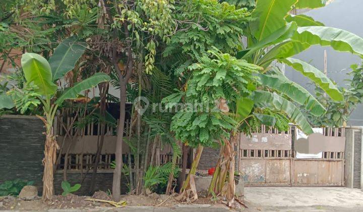 Di Jual Rumah Ancol Ukuran 260m, Dekat Sekolah Gandhi, Ancol, Mangga Dua, Sunter, Kelapa Gading 2