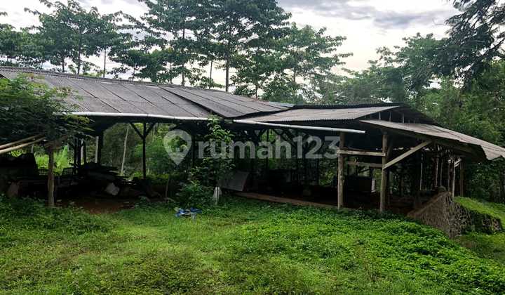 Perkebunan Di Tanggeung Cianjur Ada Villa,Sungai Dan Goa Walet
 2