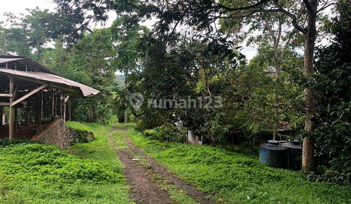 Perkebunan Di Tanggeung Cianjur Ada Villa,Sungai Dan Goa Walet
 4