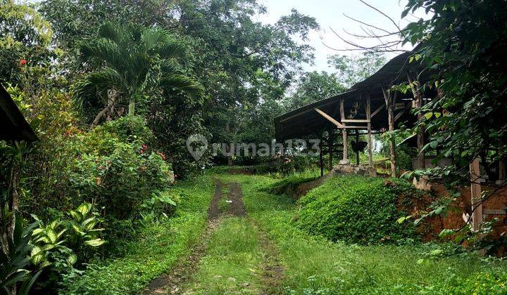 Perkebunan Di Tanggeung Cianjur Ada Villa,Sungai Dan Goa Walet
 6