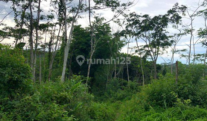 Perkebunan Di Tanggeung Cianjur Ada Villa,Sungai Dan Goa Walet
 12