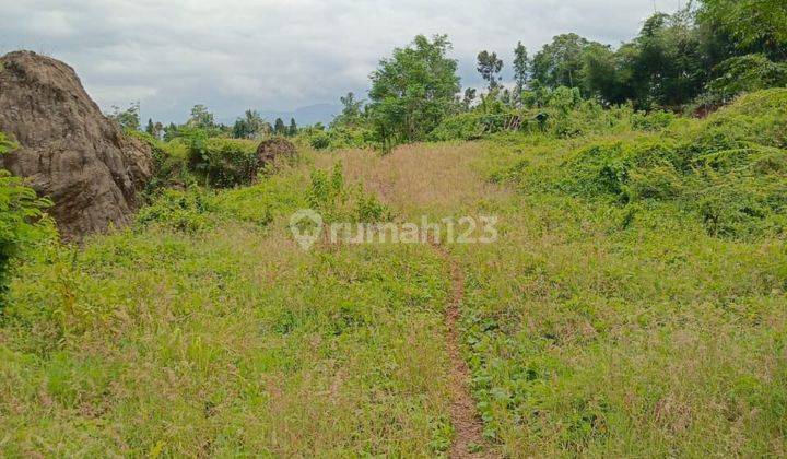 Tanah Di Mekarjaya Sukaluyu Cianjur  1