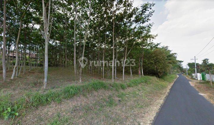 Tanah Kebun Luas di Jl Raya Jedong Wagir Bandulan Dieng 1