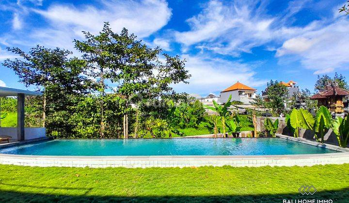 For Sale 4 Bedroom Family Villa for Rent with Spacious Garden in Padonan Canggu Rf3534 2