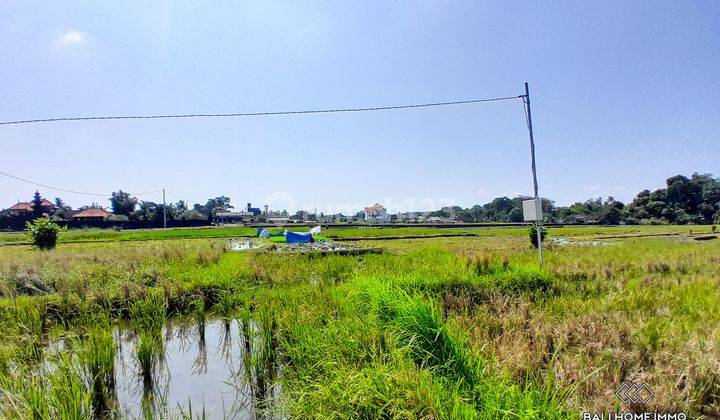 Dijual 10 Are Tanah Dengan Pemandangan Sawah Di Kedungu Bali Rf4336 2