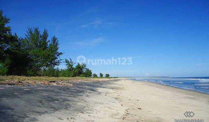 Dijual Hak Milik Tanah Tepi Pantai Di Sumba Rf362 2