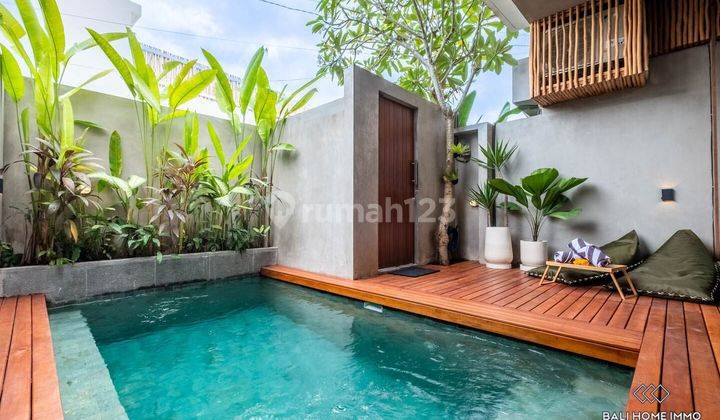 Dijual Sewa Vila 1 Kamar Tidur Yang Indah Di Bali Canggu Batu Bolong Rf3774 1