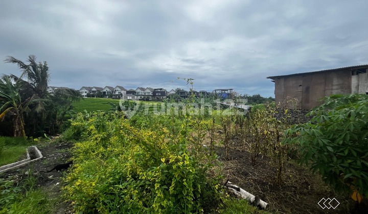 Dijual Hak Milik 6 Are Tanah dengan Pemandangan Sawah di Tepi Pantai Cemagi - Rf6254