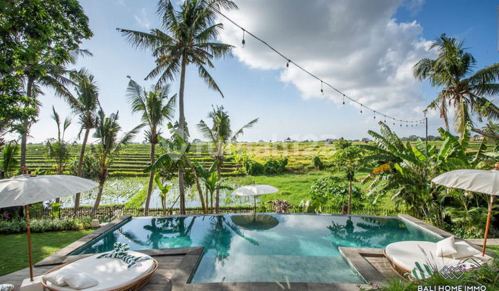 FOR SALE RENT 3 VILLAS WITH BEAUTIFUL RICE FIELD VIEW IN BABAKAN CANGGU BALI - PM112 2