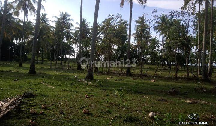 DIJUAL HAK MILIK TANAH TEPI PANTAI DI LOMBOK - RF5667 2
