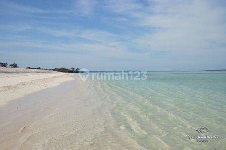DIJUAL HAK MILIK TANAH TEPI PANTAI DI PULAU ROTE - RF6964 2