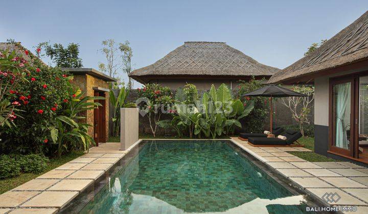 Dijual Sewa Villa 1 Kamar Tidur Yang Menawan di Bali Petitenget Al216c 1