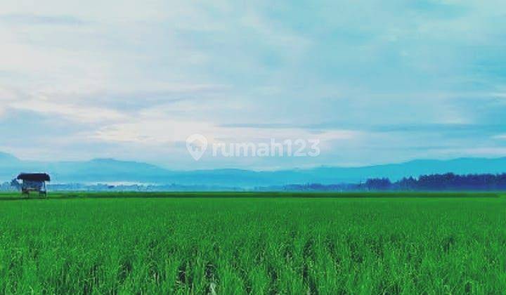 Jual Tanah Sawah Produktif SHM di Ujung Jaya, Sumedang 2