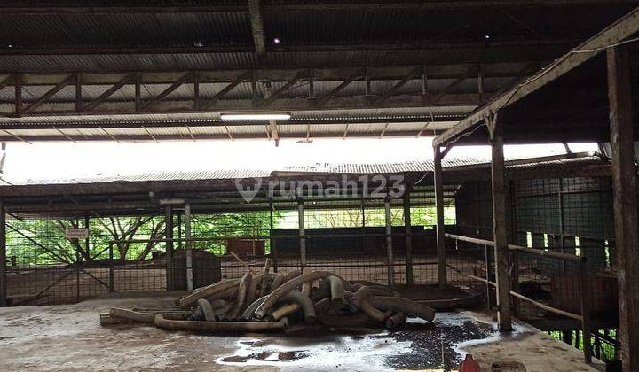 Dijual Gudang 30.000 M Eks Pabrik di Ciperna, Cirebon 6