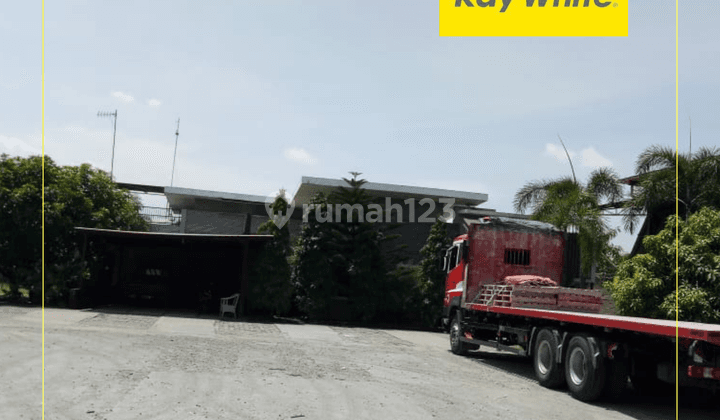 Dijual X Gudang Pabrik Rotan Di Sumberjaya Majalengka 6