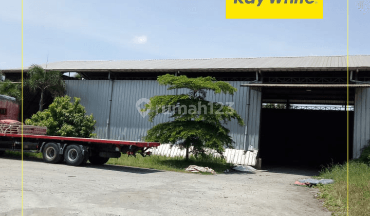 Dijual X Gudang Pabrik Rotan Di Sumberjaya Majalengka 8
