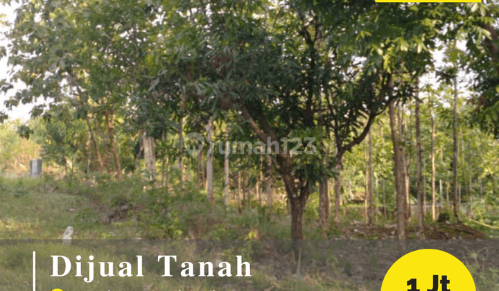 Dijual Tanah Cocok Untuk Perumahan di Baribis Majalengka 1