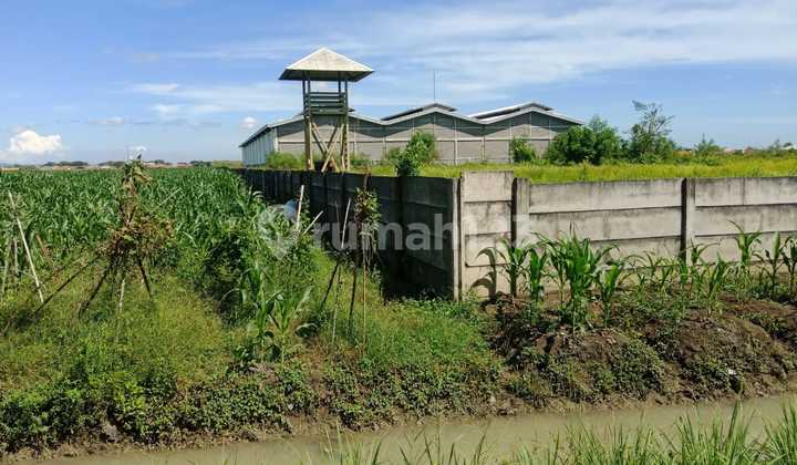 Dijual / disewakan Gudang baru di area Industri Kanci, Cirebon 6