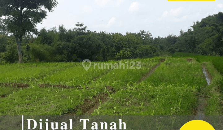 Dijual Tanah Cocok Untuk Perumahan di Cigasong, Majalengka 1